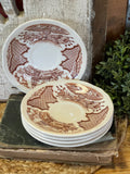 Vintage Fair Winds Saucer Alfred Meakin Staffordshire, England