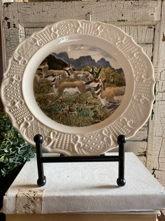 Vintage Hand Colored Pronghorn Antelope Plate