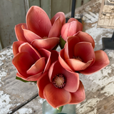 Nectarine Magnolia Bundle