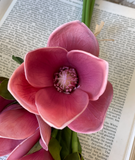 Rouge Magnolia Bundle