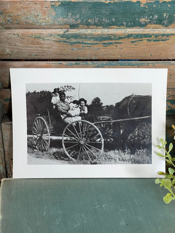 Local Antique Photograph of Family in Buggy (Likely Lewisburg, Tennessee)