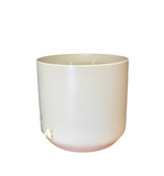 Cedarwood + Honey 32oz Soy Candle in White Pottery