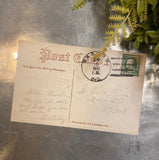 Antique 1912 Embossed Rose Postcard