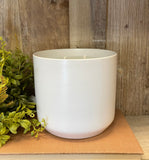 Cedarwood + Honey 32oz Soy Candle in White Pottery