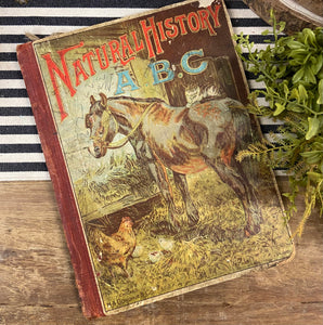 Early 1900's "Natural History ABC" Book