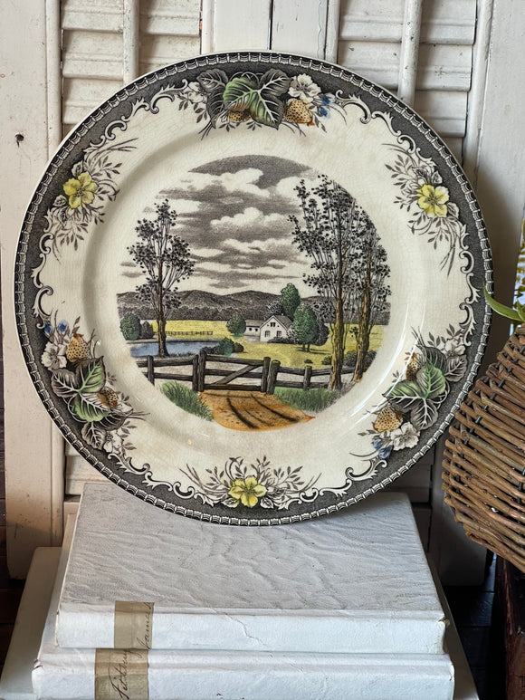 Vintage Spring Valley Japan Meadow Transferware Dinner Plate