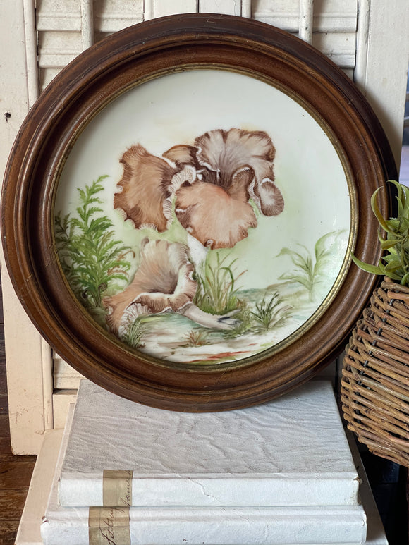 Vintage Framed Mushroom Plate