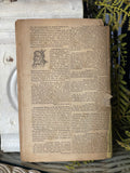 Antique Ayers American Almanac 1879