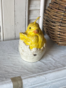 Vintage Chick in Egg Candle