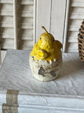 Vintage Chick in Egg Candle