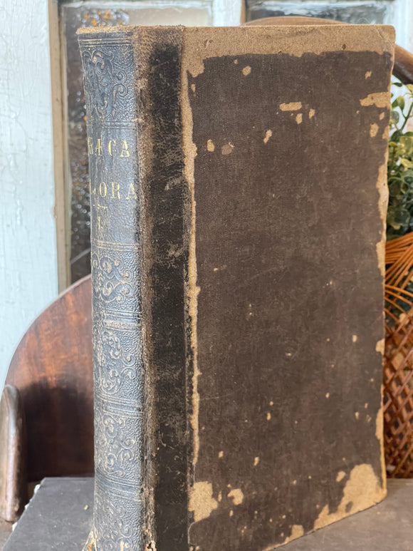 Antique Book Graeca Majora 1857