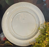 19th Century Thomas Fell Wild Rose Blue & White Ironstone Plate