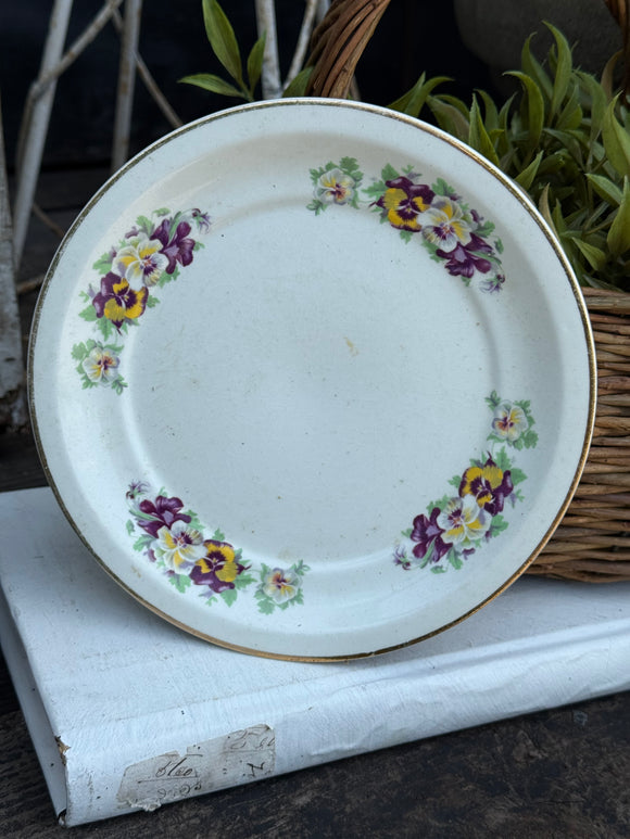 Vintage African Violet Plate