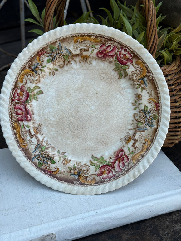 Antique Devonshire 8