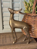 Vintage Brass Buck