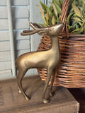 Vintage Brass Buck