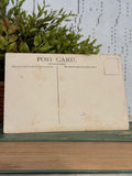 Antique Unused Post Card 1910