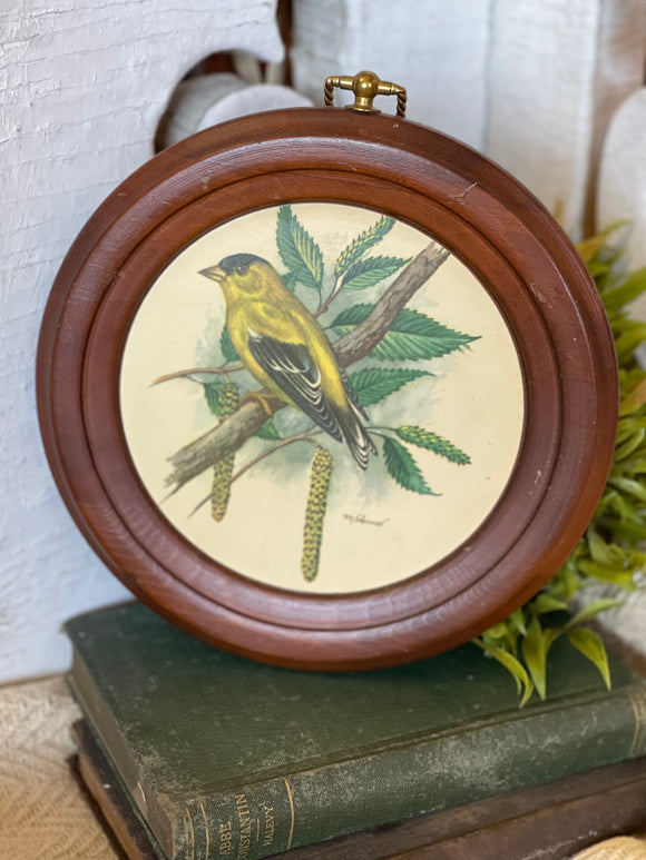 Vintage Round Bird Print on Wood