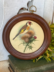 Vintage Round Bird Print on Wood