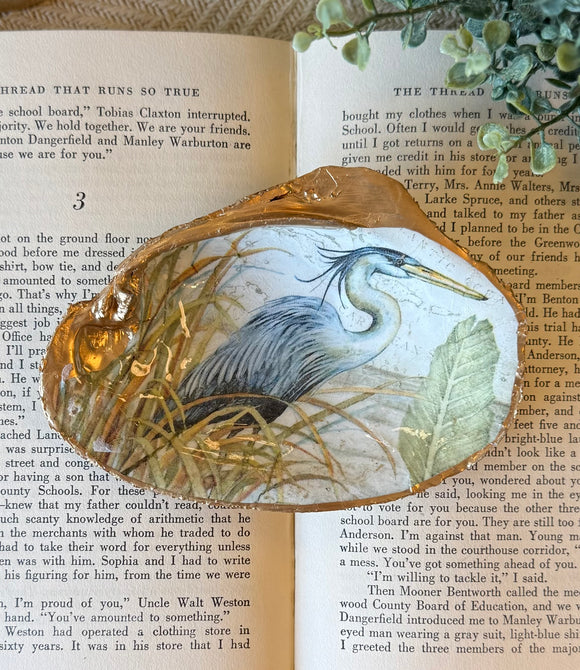 Blue Heron Tennessee River Mussel Shell