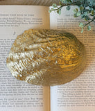 Blue Hydrangeas Tennessee River Mussel Shell