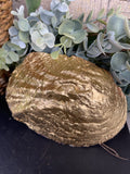 Hydrangeas & Hummingbird Tennessee River Mussel Shell