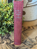 Antique "STORY of the SEER of PATMOS" 1905 Book