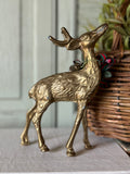 Vintage Brass Buck with Removable Bow
