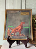 Vintage Lawrenceburg, Tn Advertising Mirror With Dog Beuerlein Bros Tuxedo Feeds