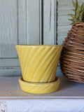 Vintage Yellow Pottery Planter