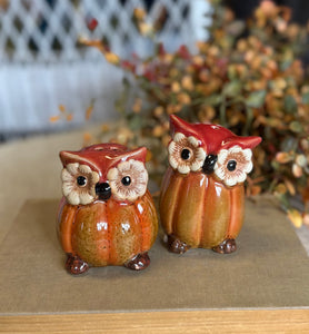 Cute Vintage Owl Salt & Pepper Shaker Set