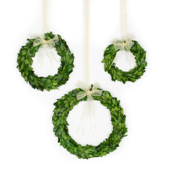 Preserved Boxwood Wreath w/ Ribbon