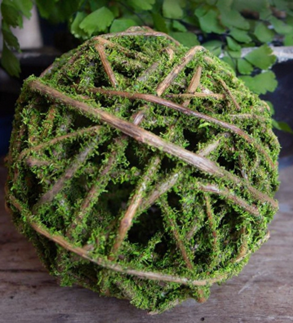 Curly Willow Moss Coated Ball