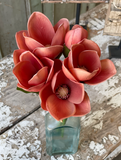 Nectarine Magnolia Bundle