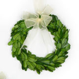 Preserved Boxwood Wreath w/ Ribbon