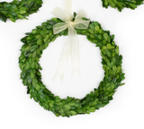 Preserved Boxwood Wreath w/ Ribbon