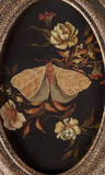 Hidden Garden Hanging Oval Print