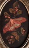 Hidden Garden Hanging Oval Print