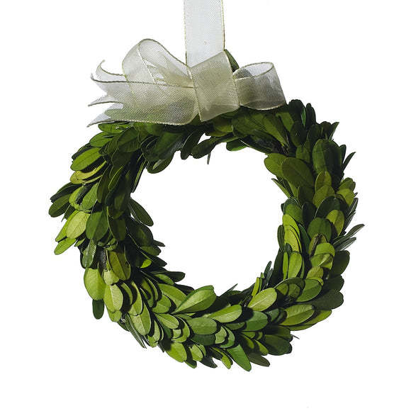 Mini Boxwood Wreath w/ Ribbon