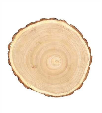 Medium Round Paulownia Wood Slice