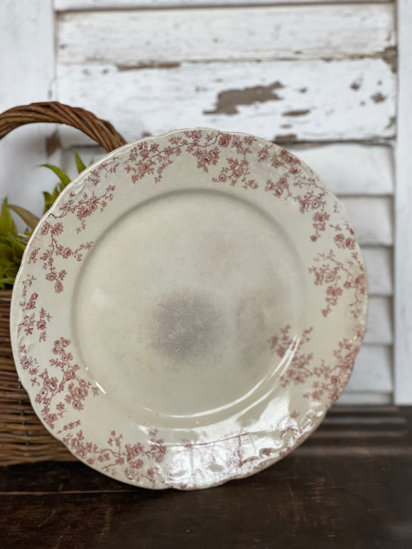 Antique Catherine Mermet English Transfer-ware Dinner Plate