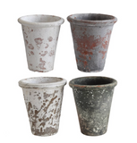 Distressed Clay Pot