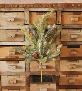 Frosted White Spruce Pick