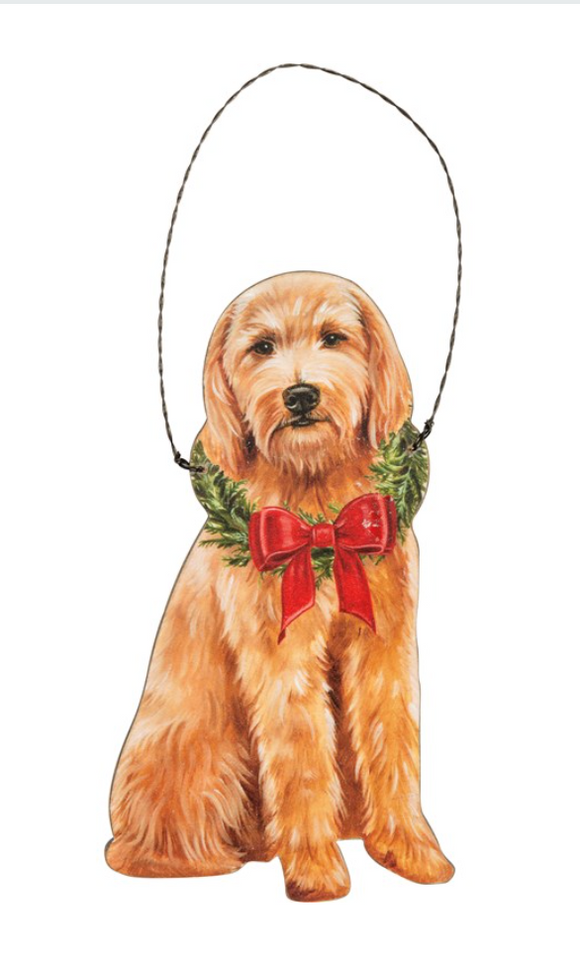 Christmas Golden Doodle