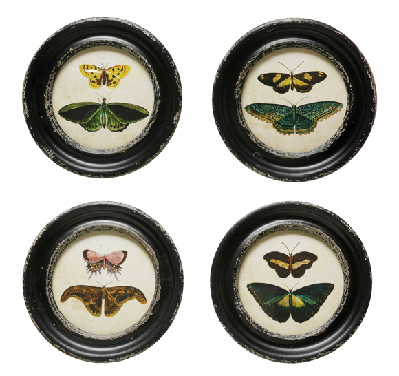 Vintage-Style Round Moth/Butterfly Print Framed