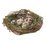 Moss Nest w/ Eggs & Clip