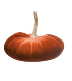 Small Velvet Pumpkin w/ Resin Stem