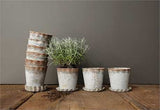 Galvanized Planter w/ Scalloped Base